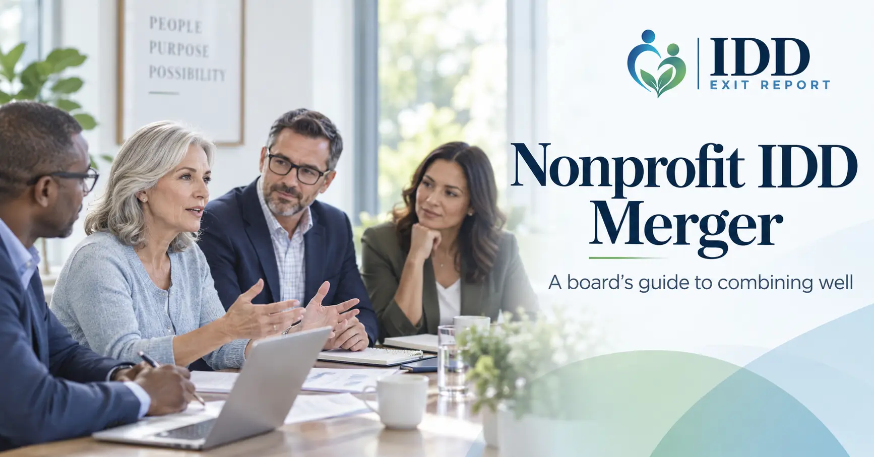 Nonprofit IDD Merger: A Board’s Guide to Combining Well